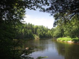 Sustainable forestry Maine