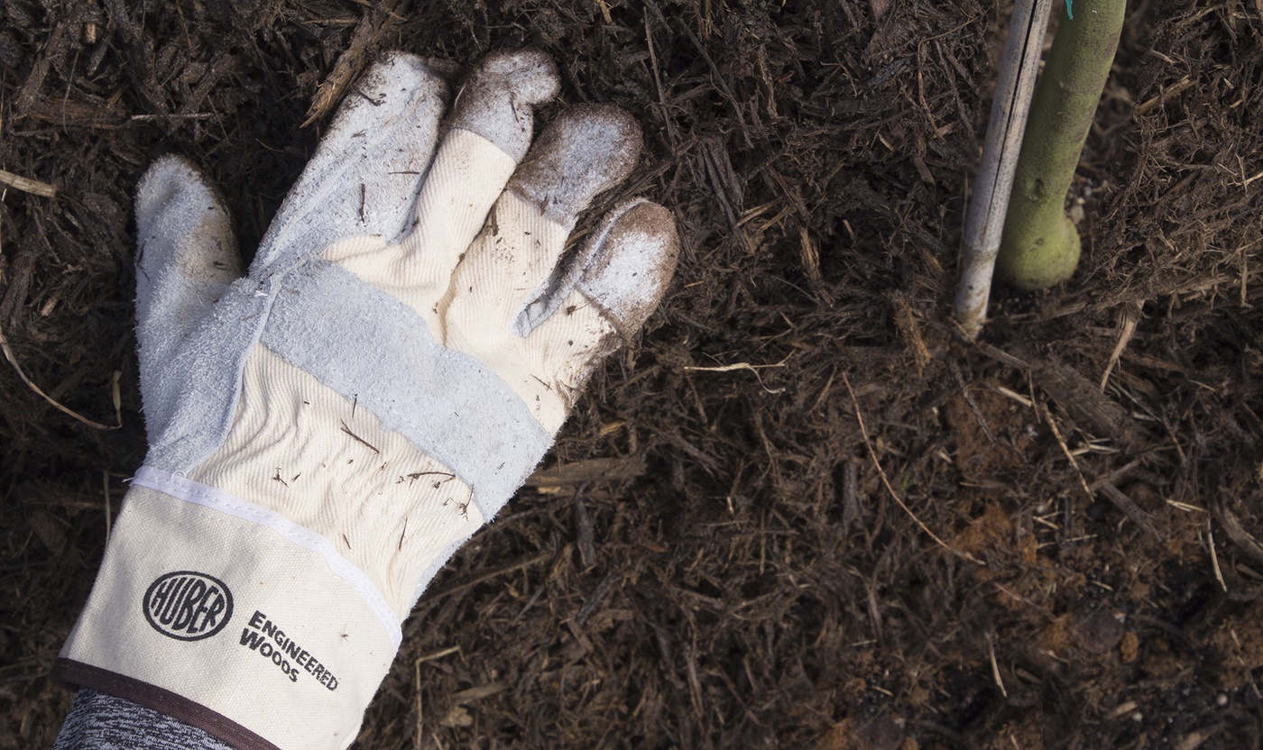 HEW gloves planting
